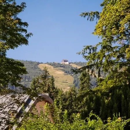 Bed and Breakfast Victoria 3*